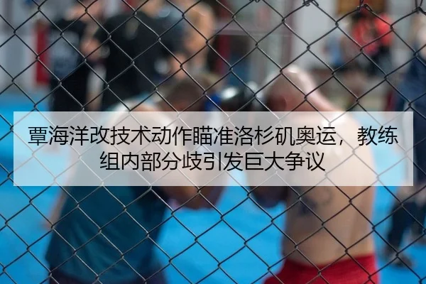 覃海洋改技术动作瞄准洛杉矶奥运，教练组内部分歧引发巨大争议